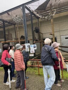 ネオパークオキナ園内②　